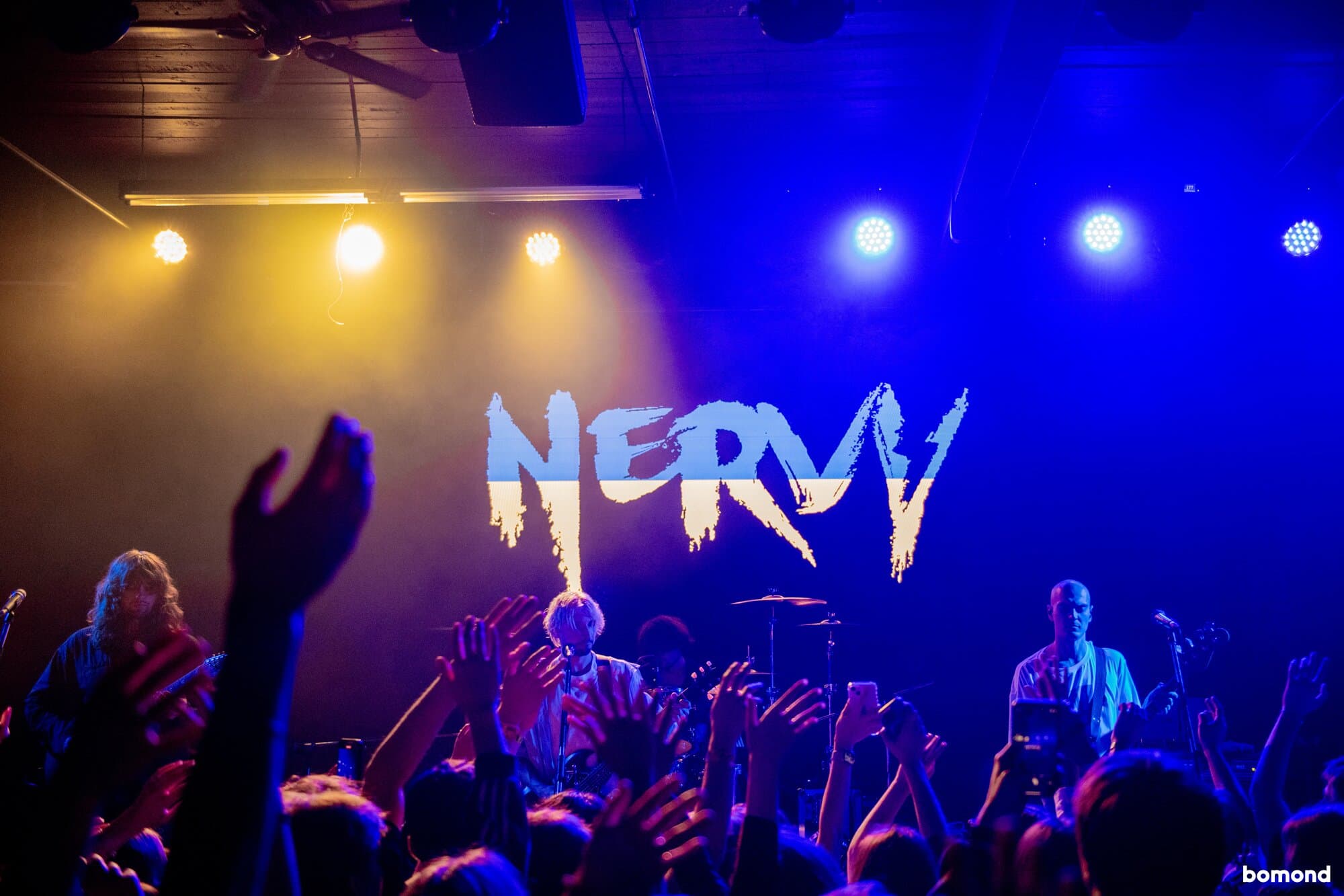 #8 – Nervy - Seattle (November 8)