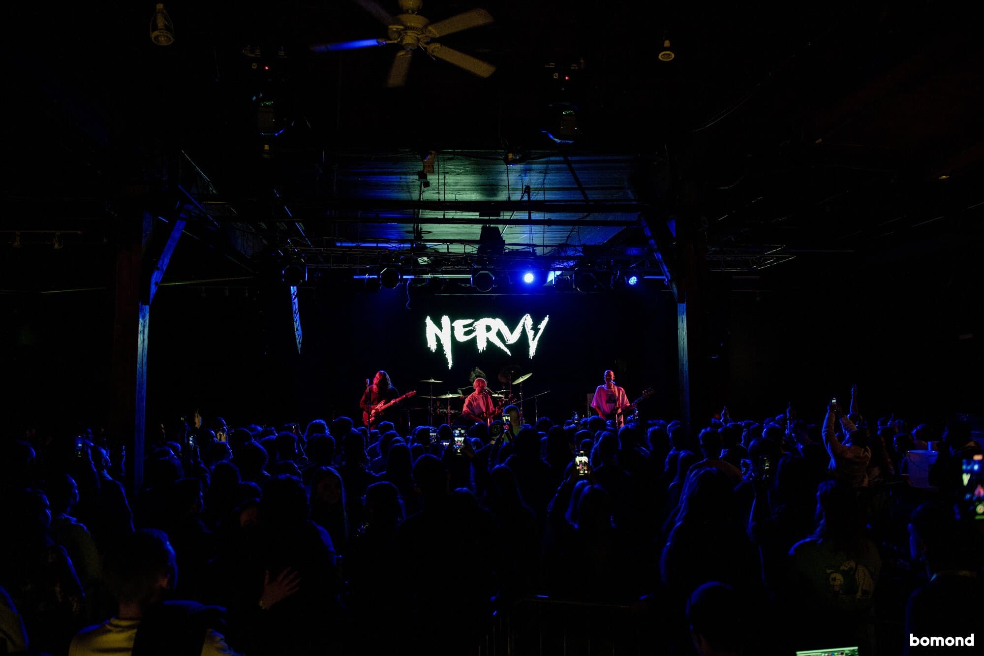 Nervy - Seattle (November 8)